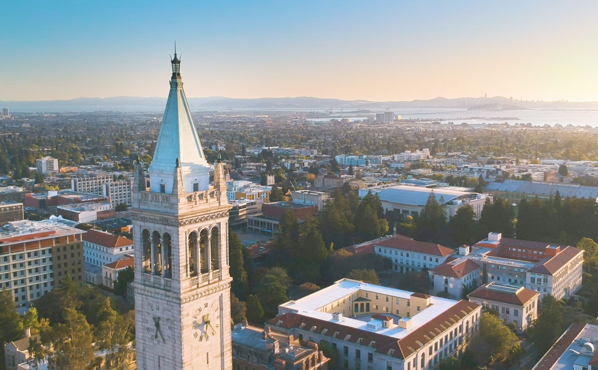 Lsi International Berkeley