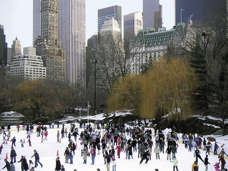 Lsi International New York